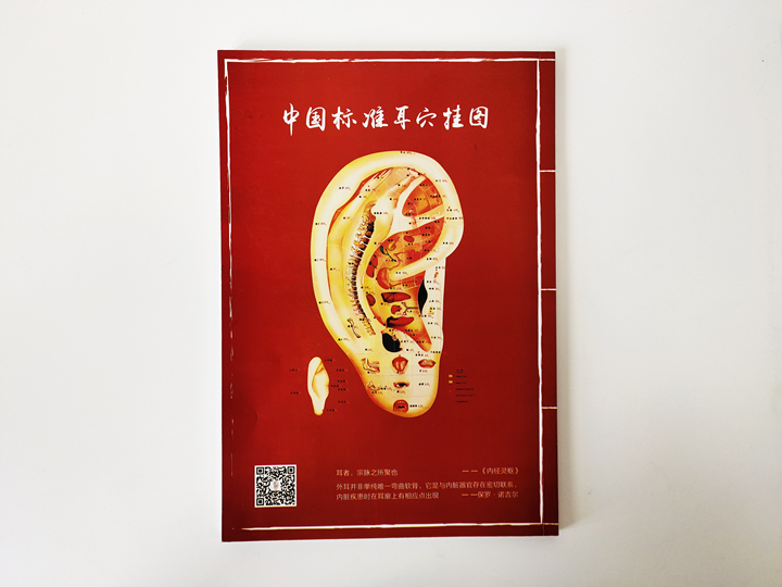 中国标准耳穴挂图