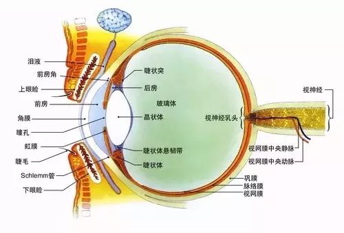 微信图片_20220225142403.jpg