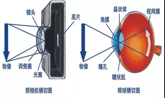 微信图片_20220514173354.jpg