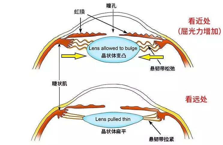 微信图片_20220608093306.jpg