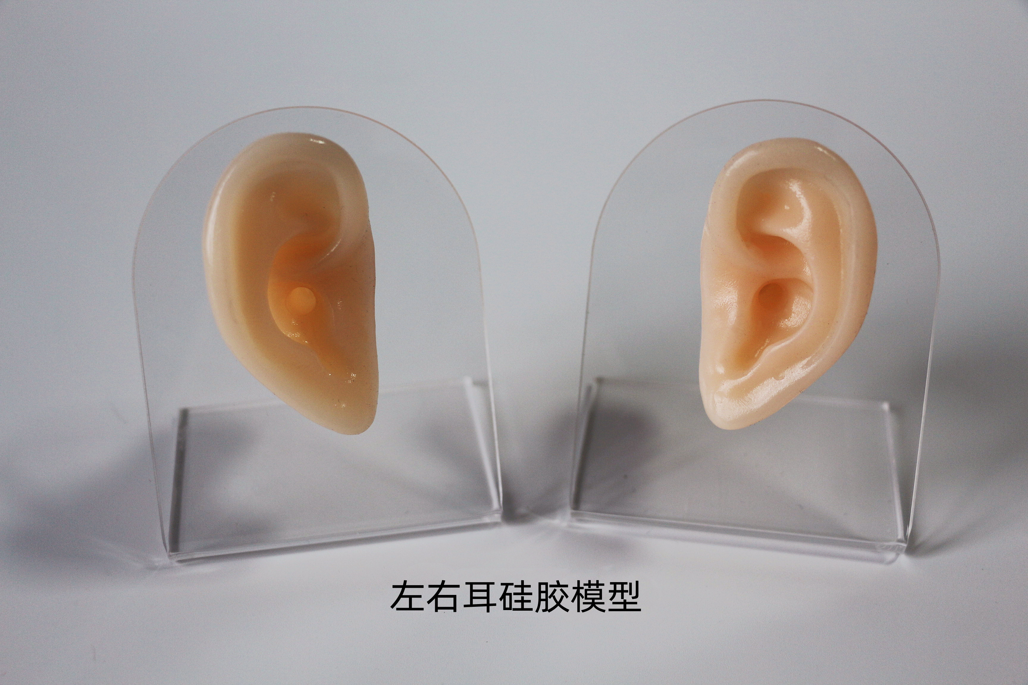耳硅胶模型