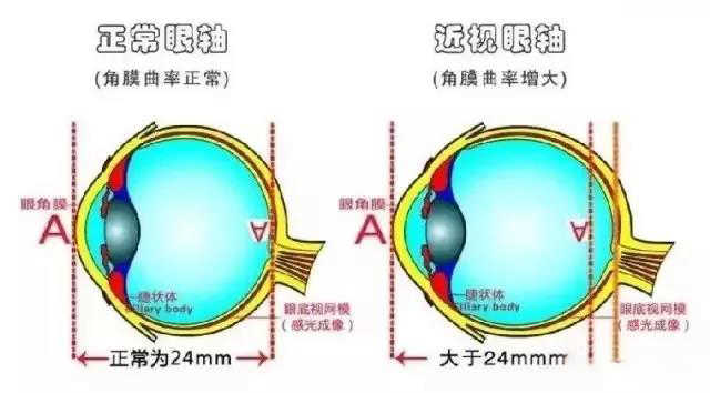 微信图片_20231030084045.jpg