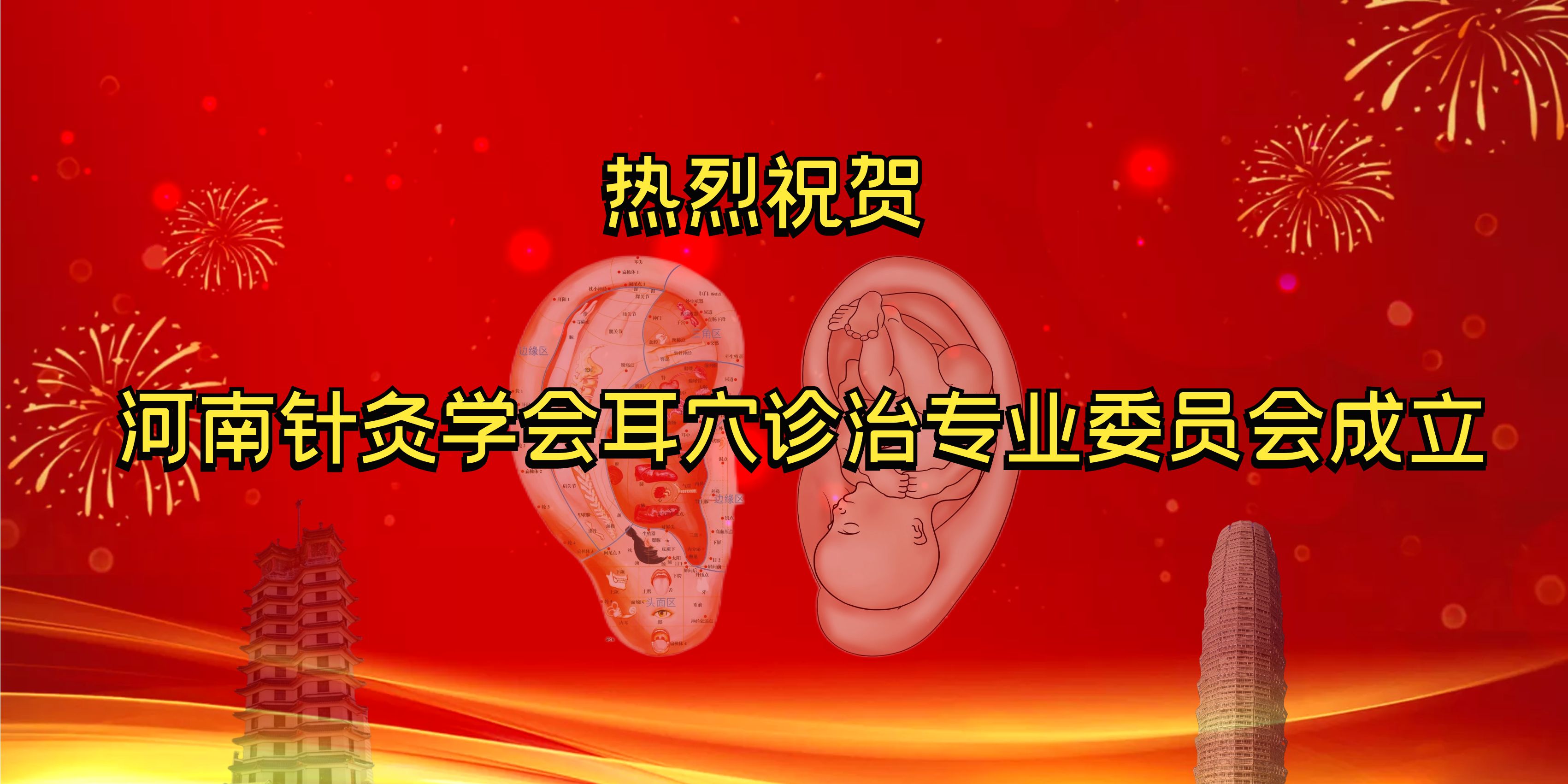 传文视力科技参加河南省针灸学会耳穴诊治专委会成立大会暨学术年会